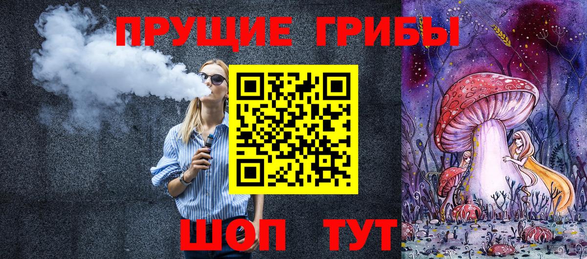 Димитровград  Псилоцибиновые грибы мицелий  Вход с VPN 